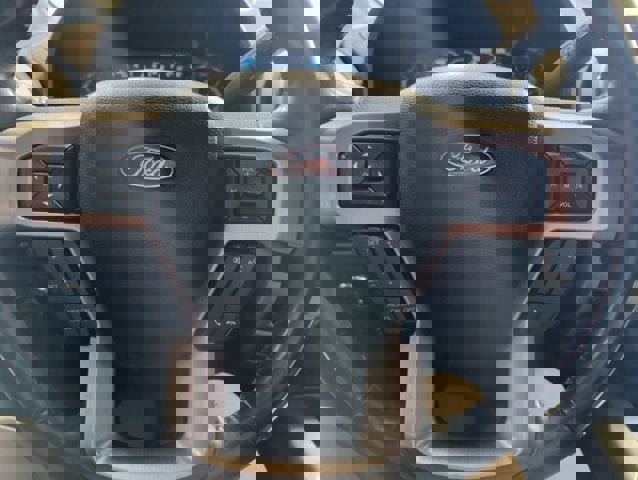 Used 2020 Ford F250 Platinum image 11