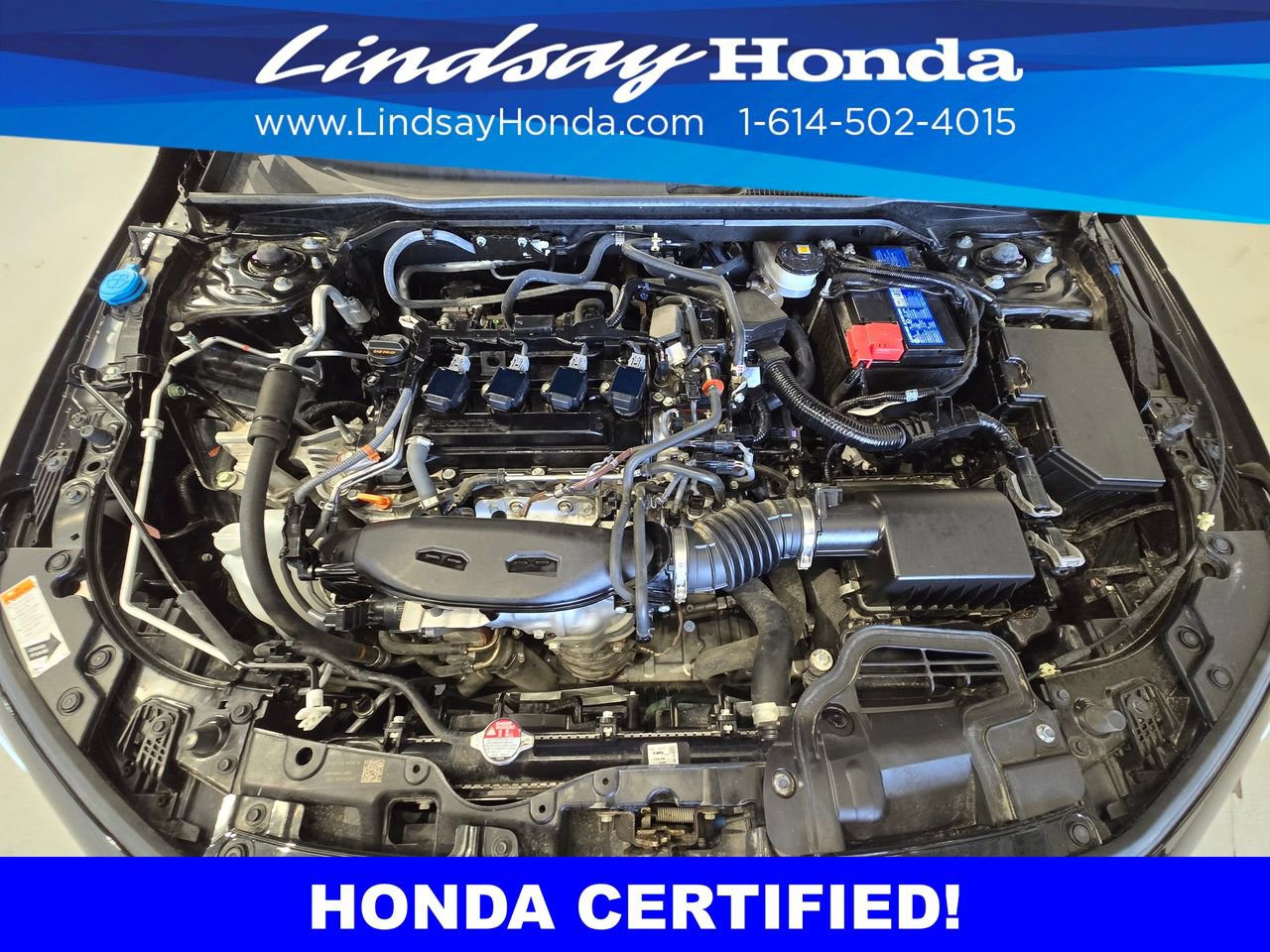 Certified 2025 Honda Civic Si image 25