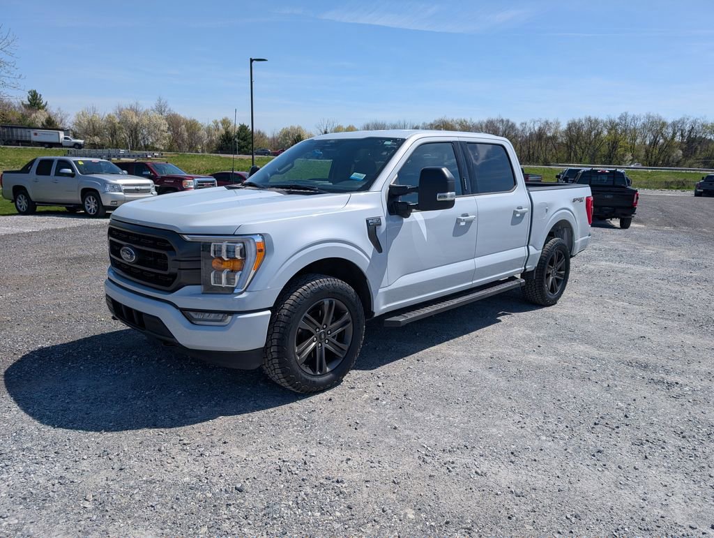 Used 2022 Ford F150 XLT w/ Equipment Group 302A High image 2