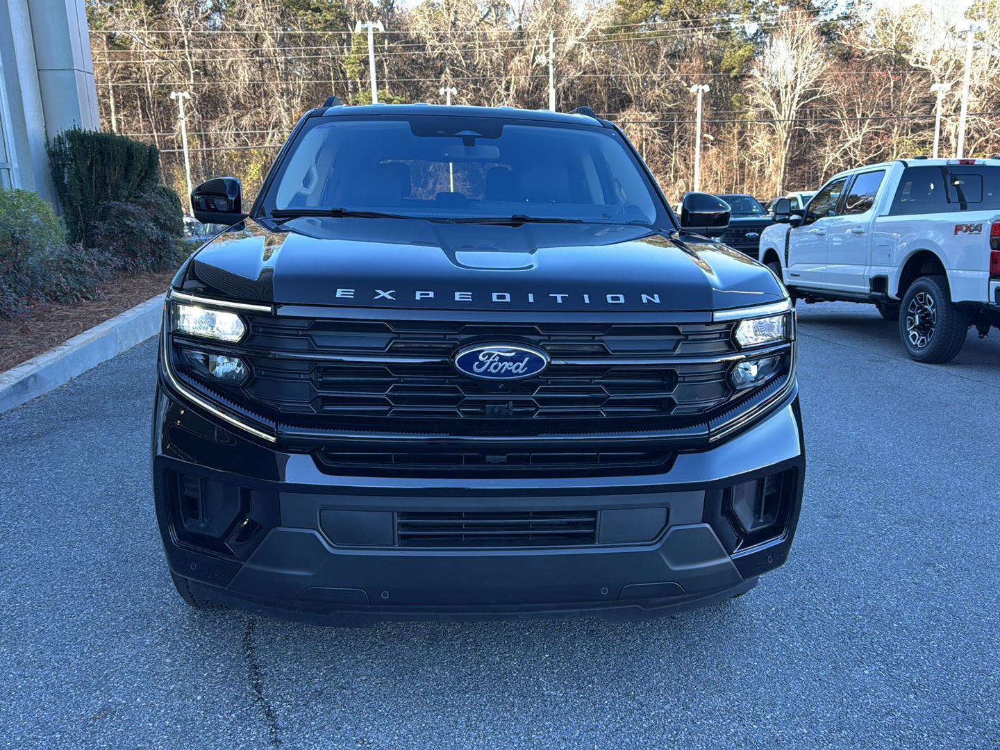 New 2025 Ford Expedition Active image 10
