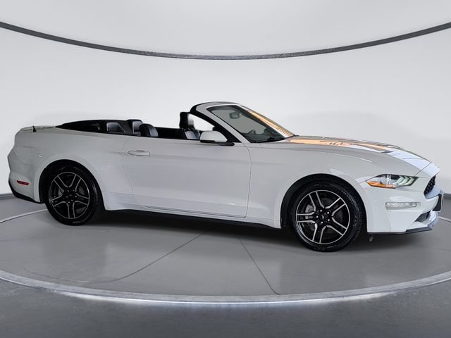 Used 2019 Ford Mustang Premium RWD image 2
