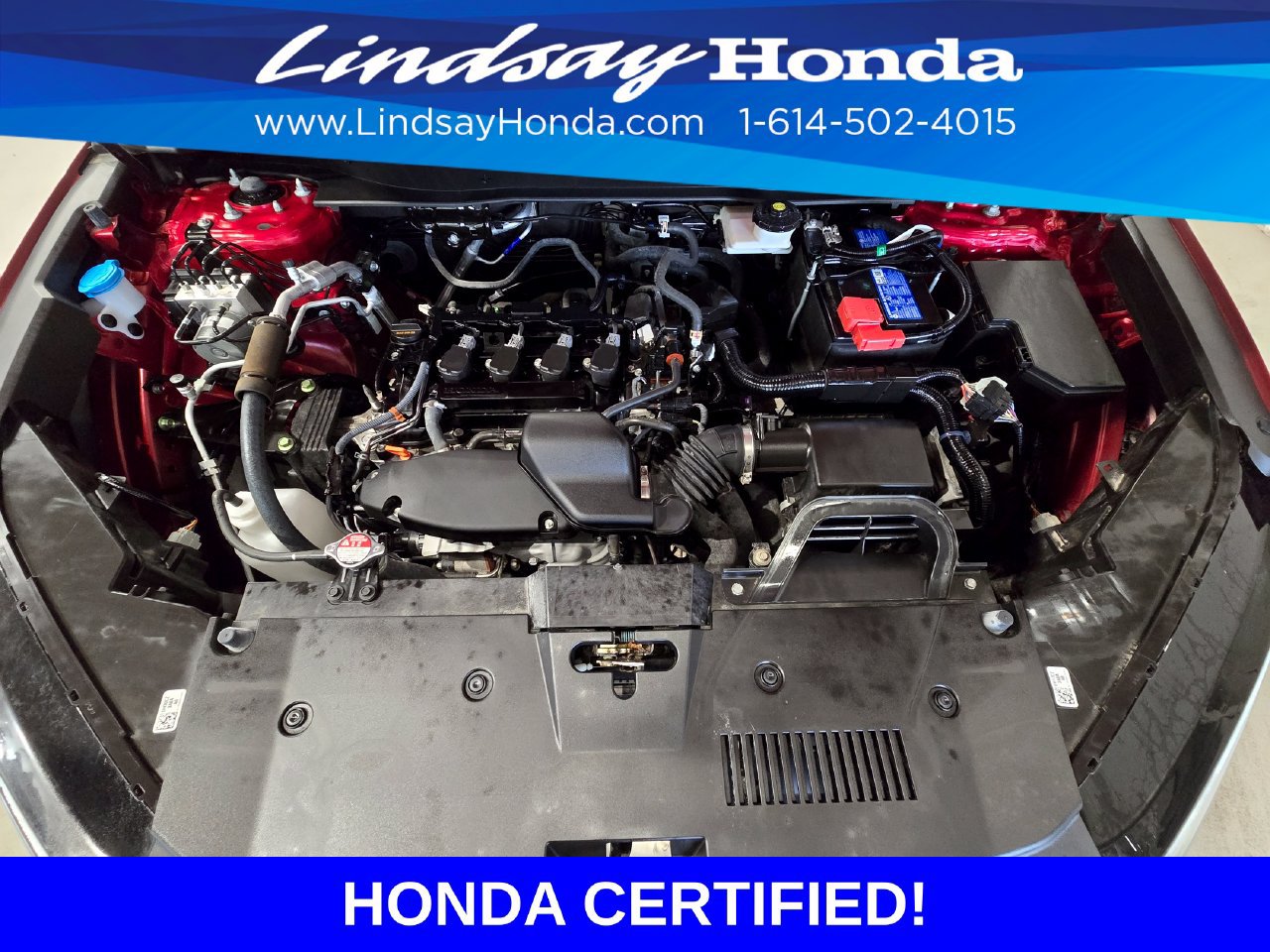 Certified 2024 Honda CR-V EX image 25