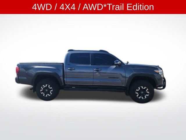 Used 2023 Toyota Tacoma 4x4 Double Cab w/ Trail Edition image 4