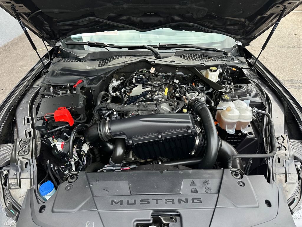 Used 2024 Ford Mustang Premium image 21