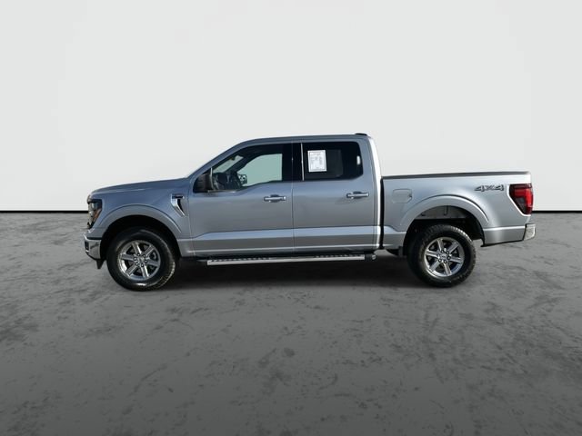 Used 2025 Ford F150 XLT w/ Equipment Group 301A Standard image 5