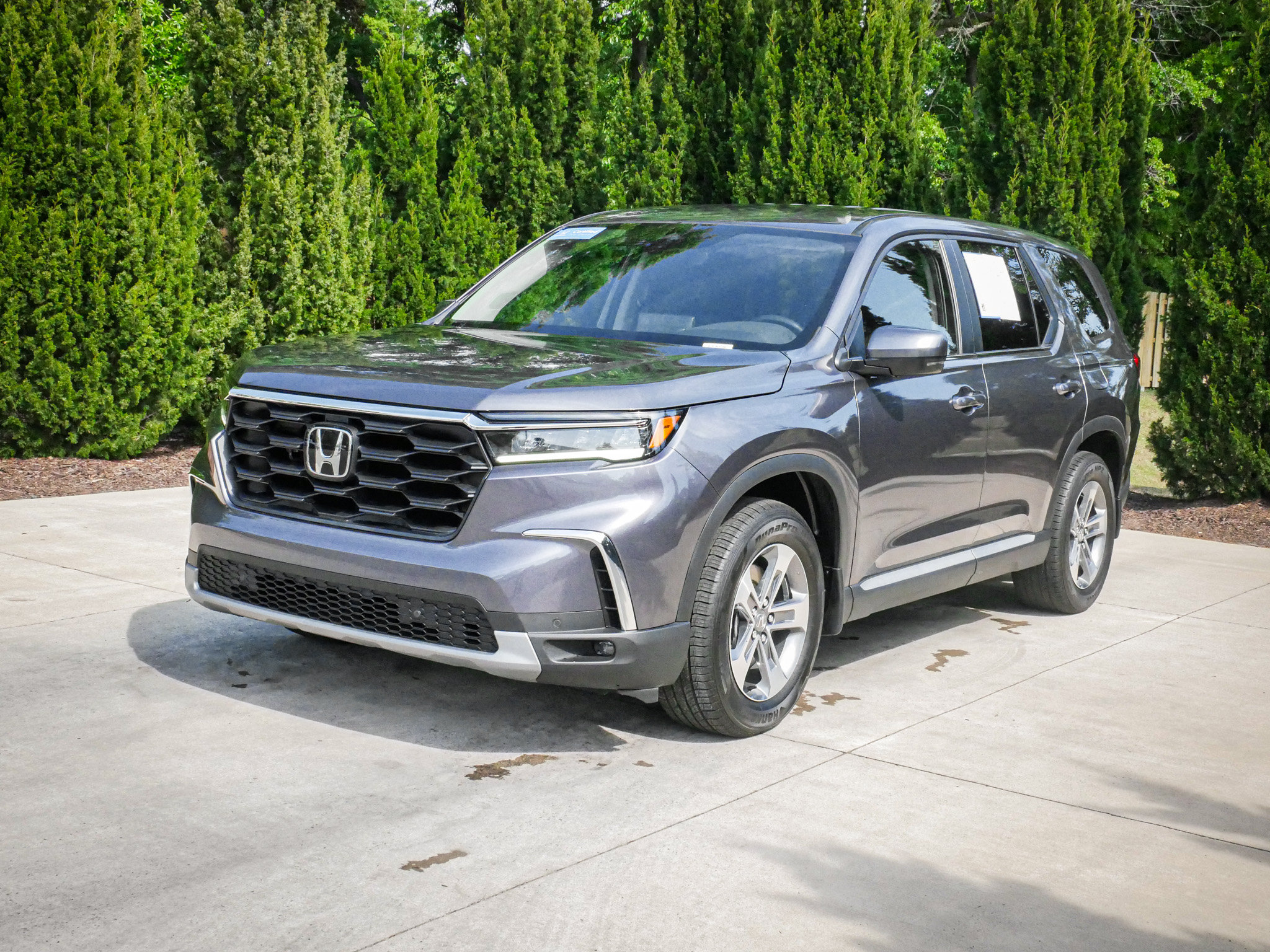 Certified 2025 Honda Pilot EX-L image 5