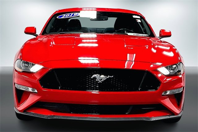 Used 2019 Ford Mustang GT w/ Equipment Group 301A image 2
