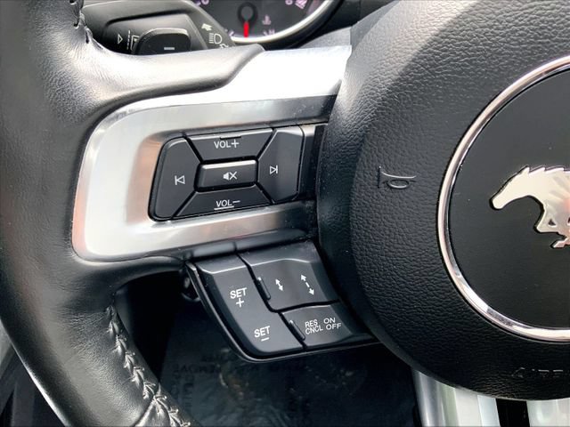 Used 2019 Ford Mustang GT Premium w/ GT Performance Package RWD image 14