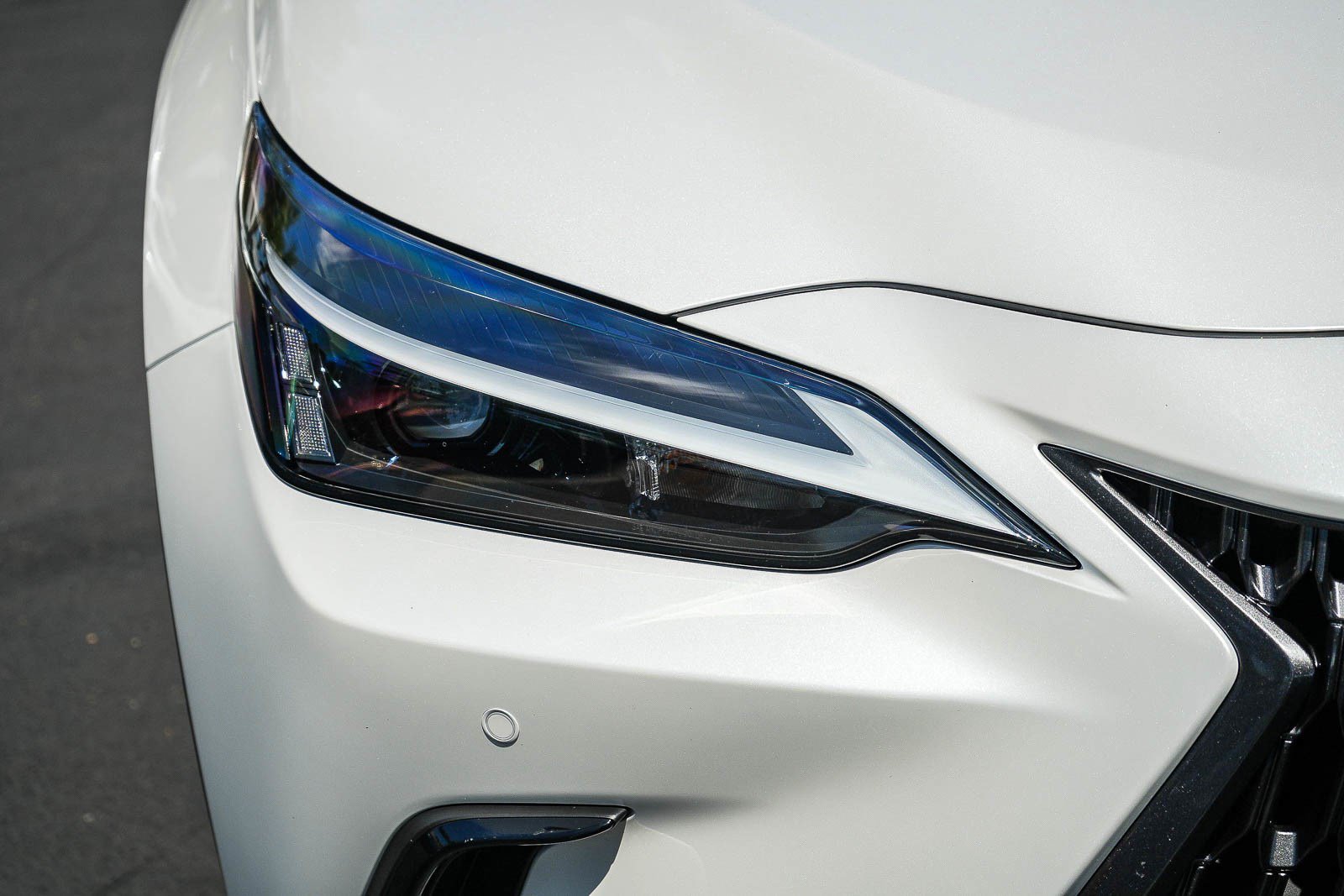 Certified 2025 Lexus NX 350h AWD w/ Cold Area Package image 8