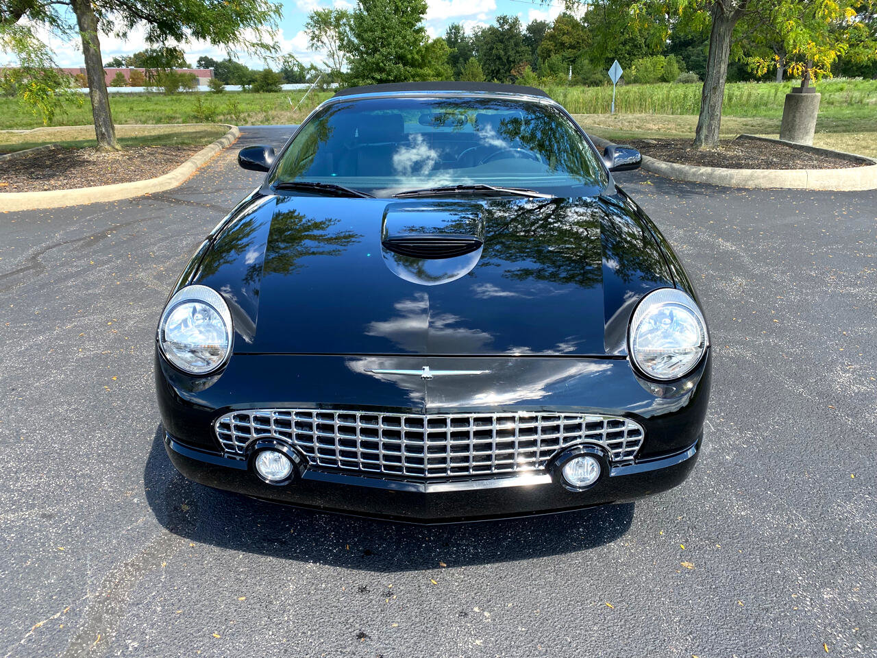 Used 2002 Ford Thunderbird Deluxe image 4
