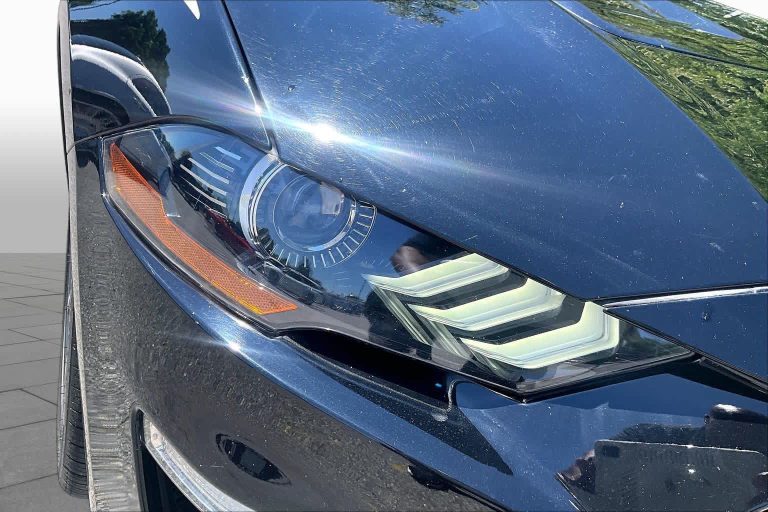 Used 2019 Ford Mustang Premium w/ Equipment Group 201A RWD image 27