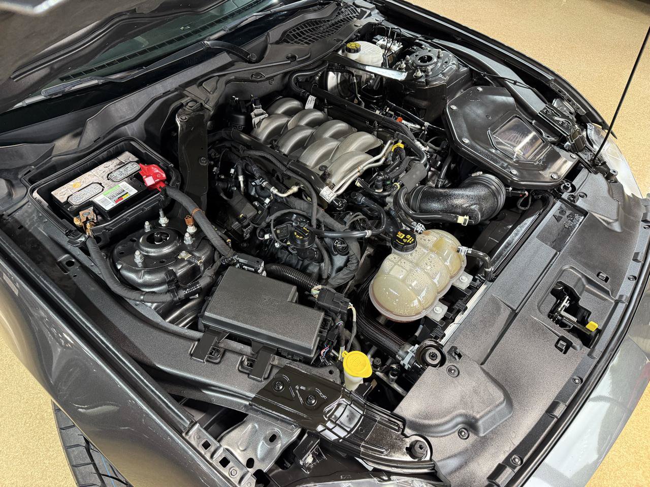 Used 2019 Ford Mustang GT Premium RWD image 42
