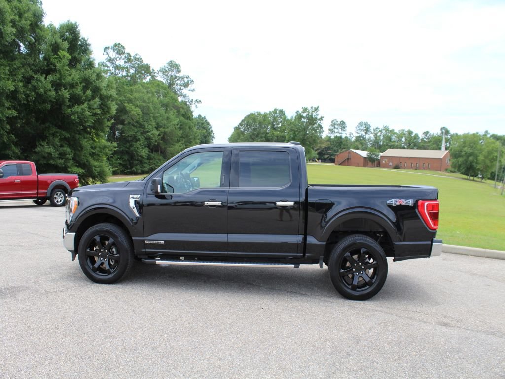 Used 2023 Ford F150 XLT w/ Equipment Group 302A High AWD/4WD image 7