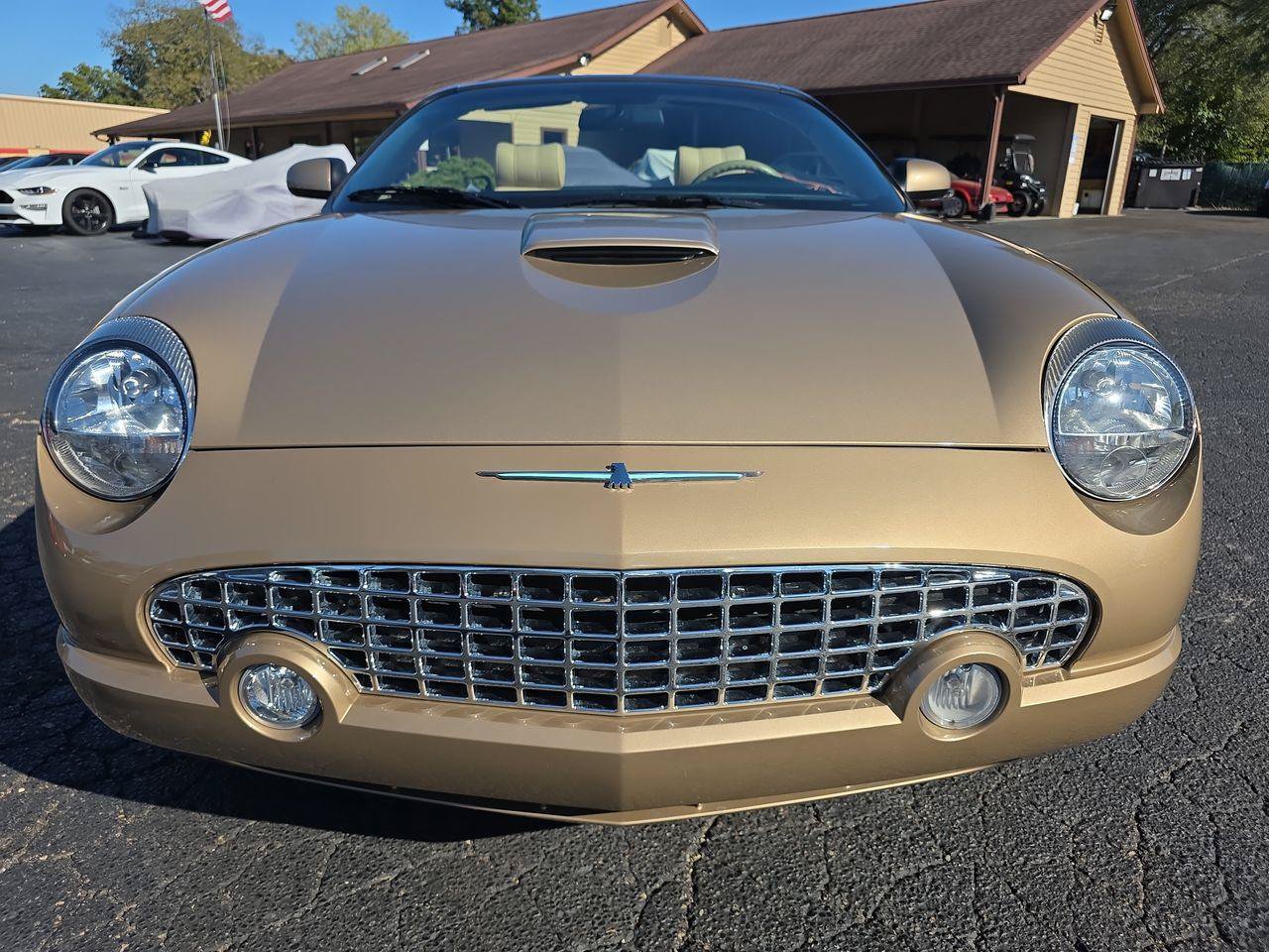 Used 2005 Ford Thunderbird RWD image 12