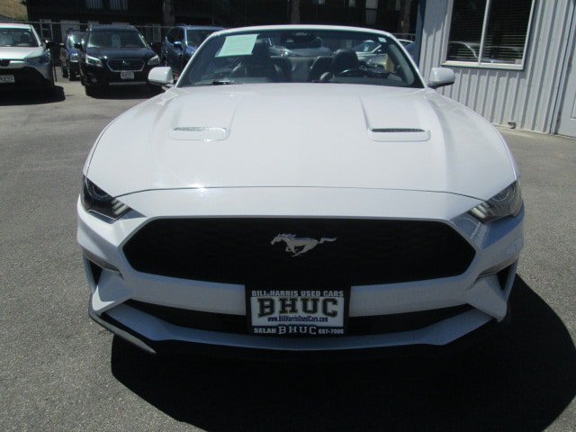 Used 2023 Ford Mustang Premium RWD image 2