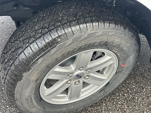 New 2025 Ford F150 XL w/ Equipment Group 103A High image 17