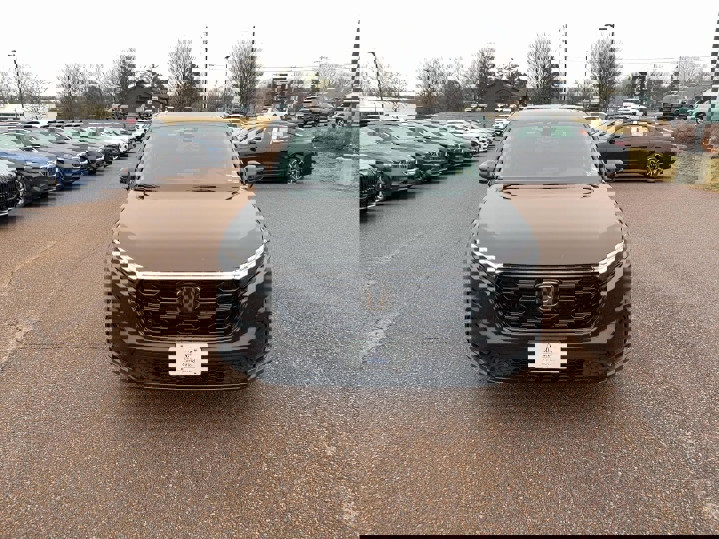 Certified 2024 Honda CR-V EX-L image 2