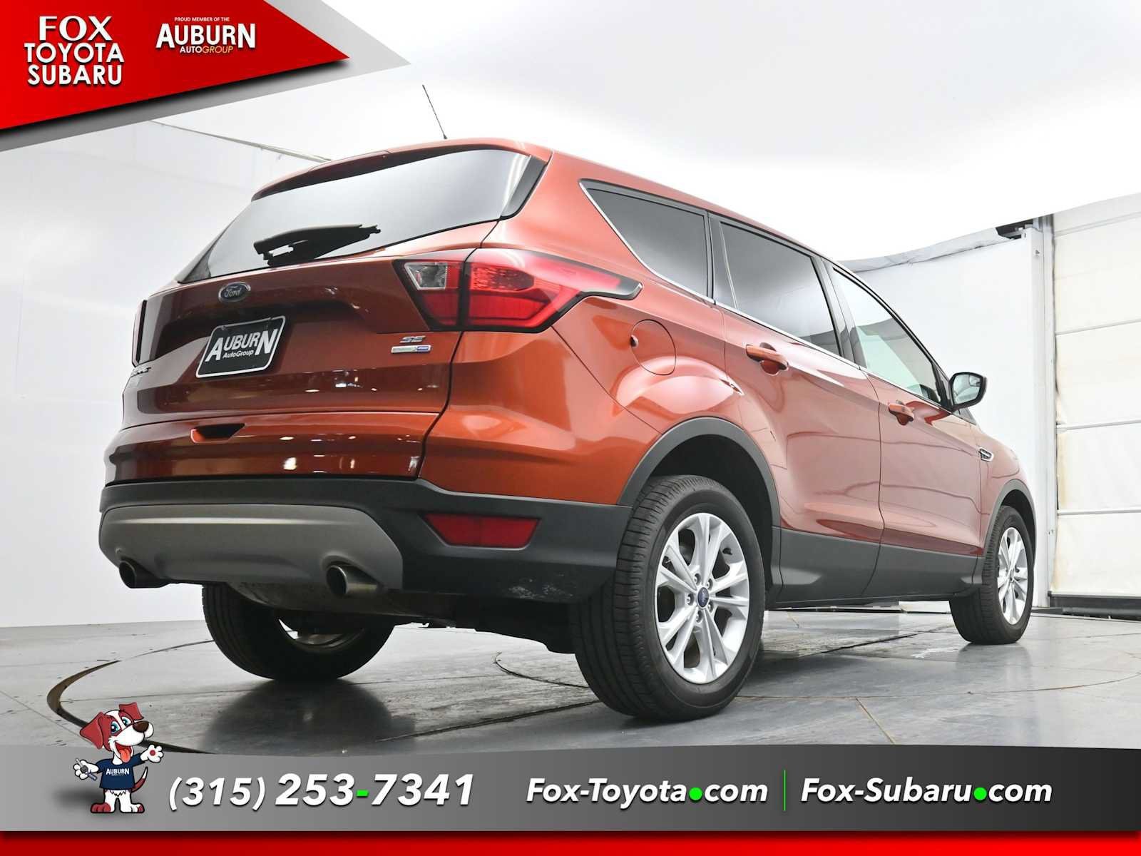 Used 2019 Ford Escape SE AWD/4WD image 21