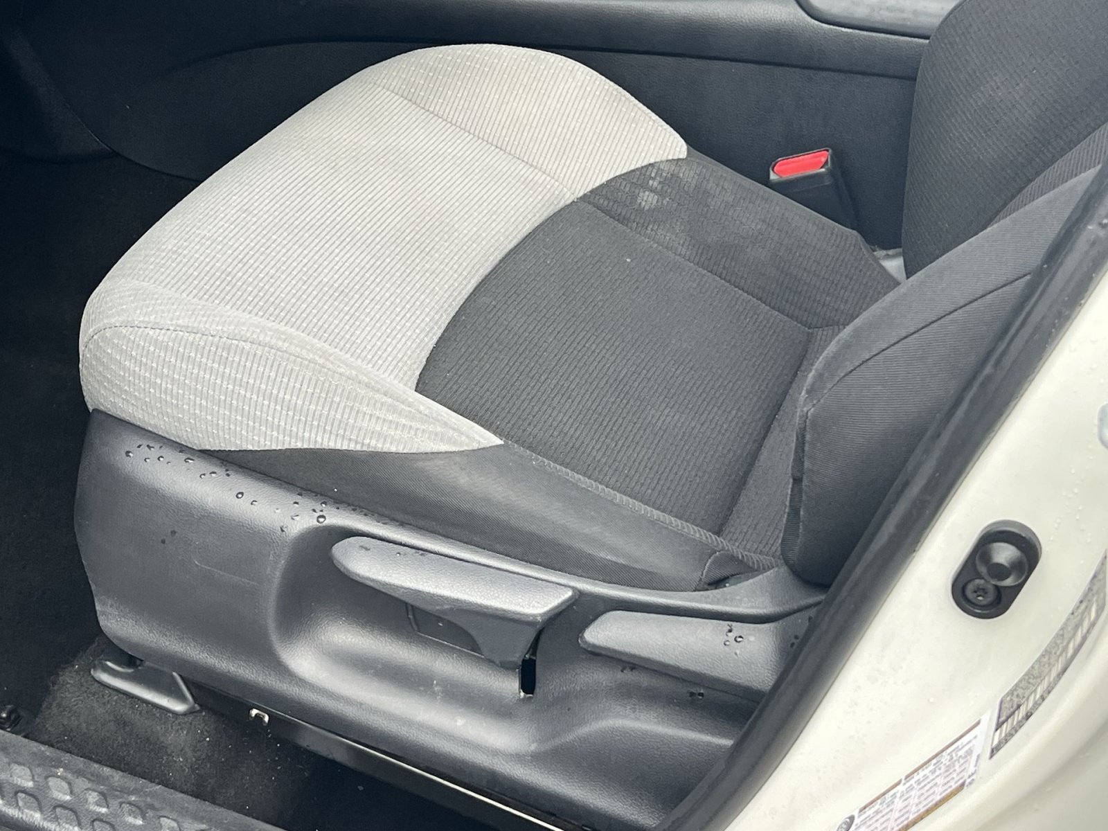 Used 2019 Toyota C-HR XLE FWD image 13