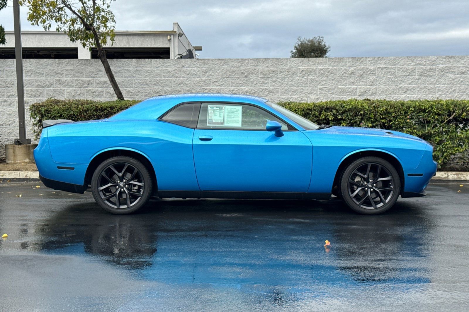 Used 2023 Dodge Challenger SXT w/ Blacktop Package image 3