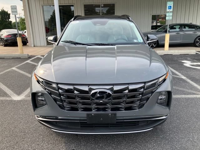 Used 2024 Hyundai Tucson Limited AWD/4WD image 8