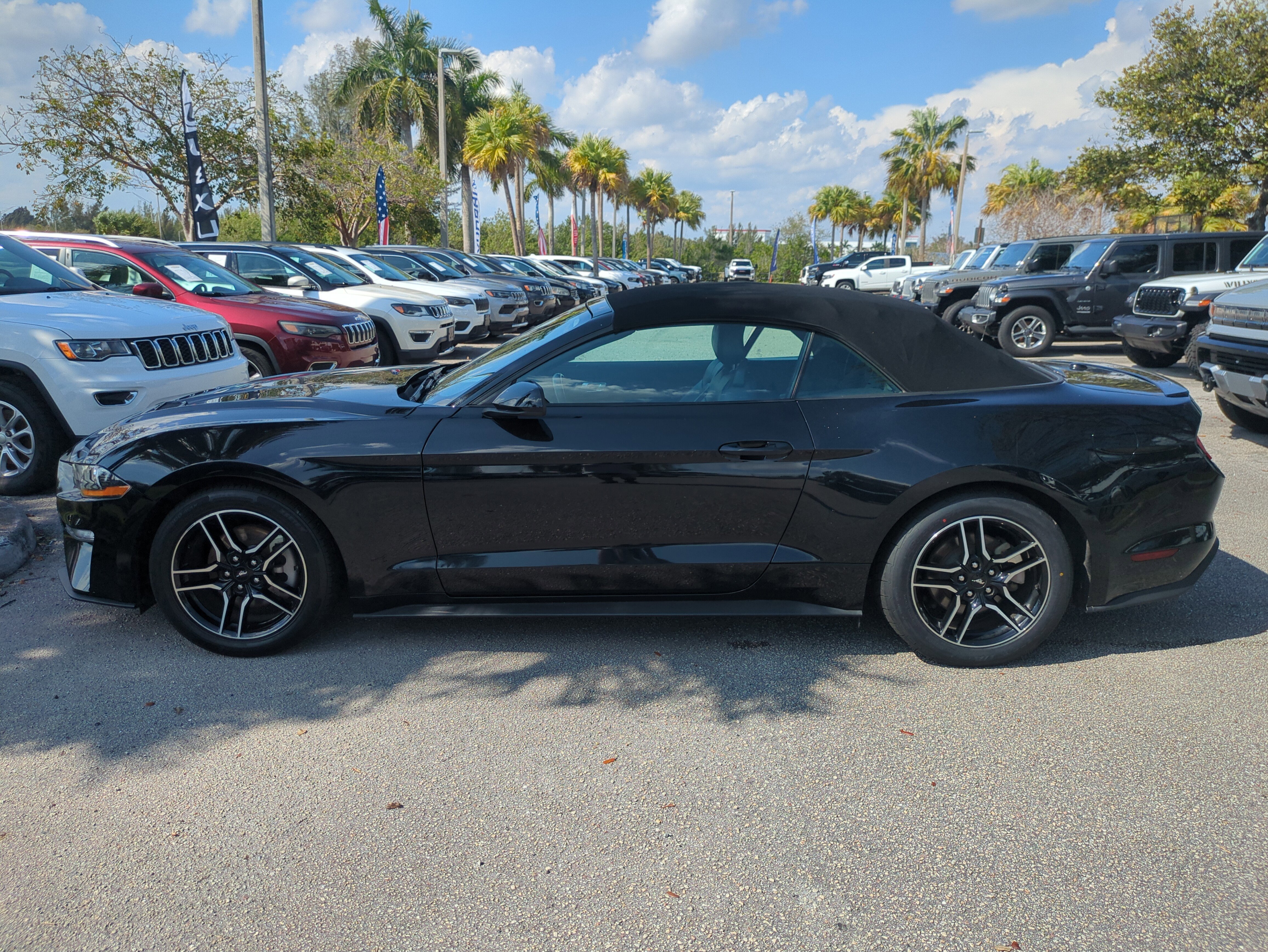 Used 2023 Ford Mustang Premium image 8