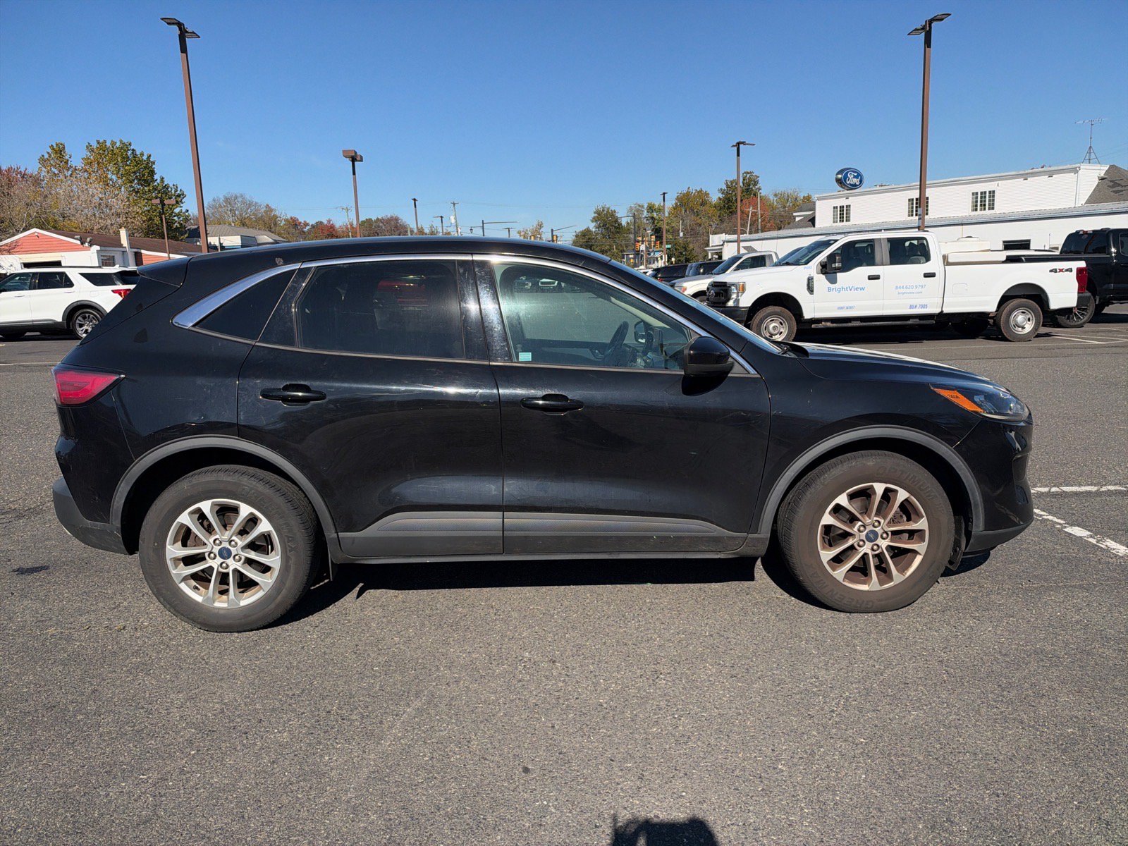 Used 2020 Ford Escape SE AWD/4WD image 4