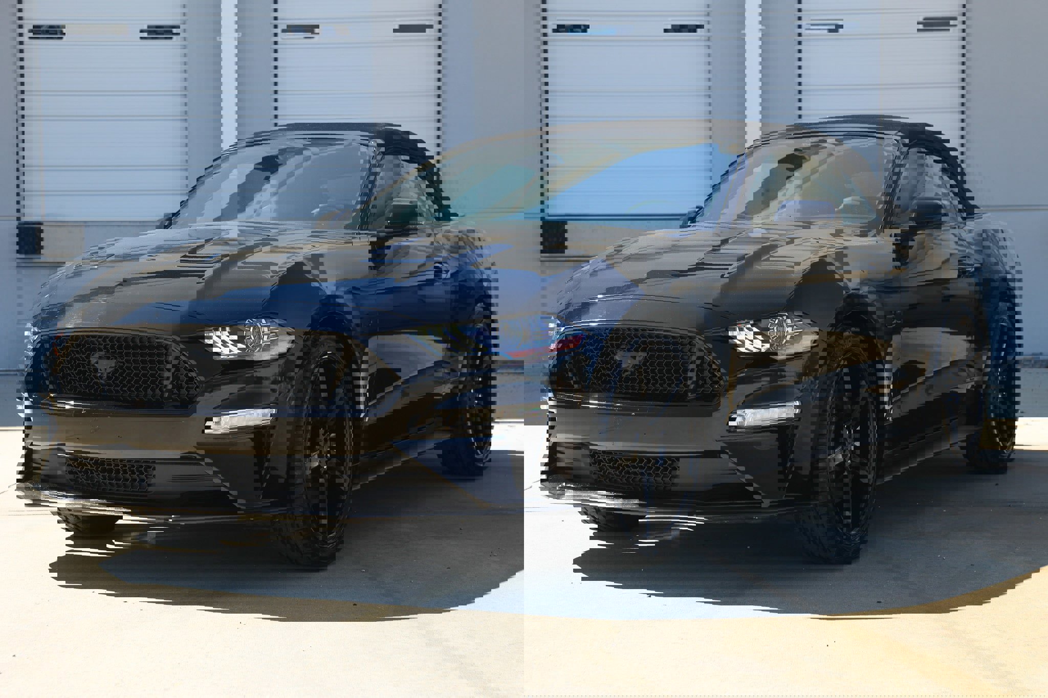 Used 2019 Ford Mustang GT Premium w/ Equipment Group 401A image 4