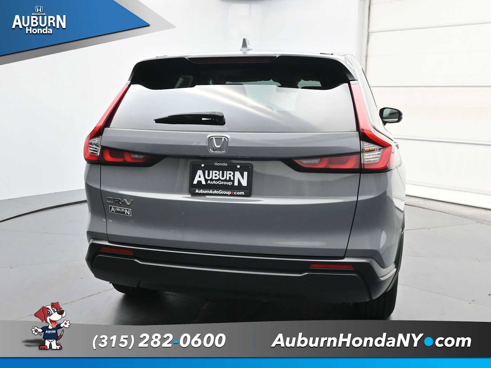 Used 2024 Honda CR-V EX image 4