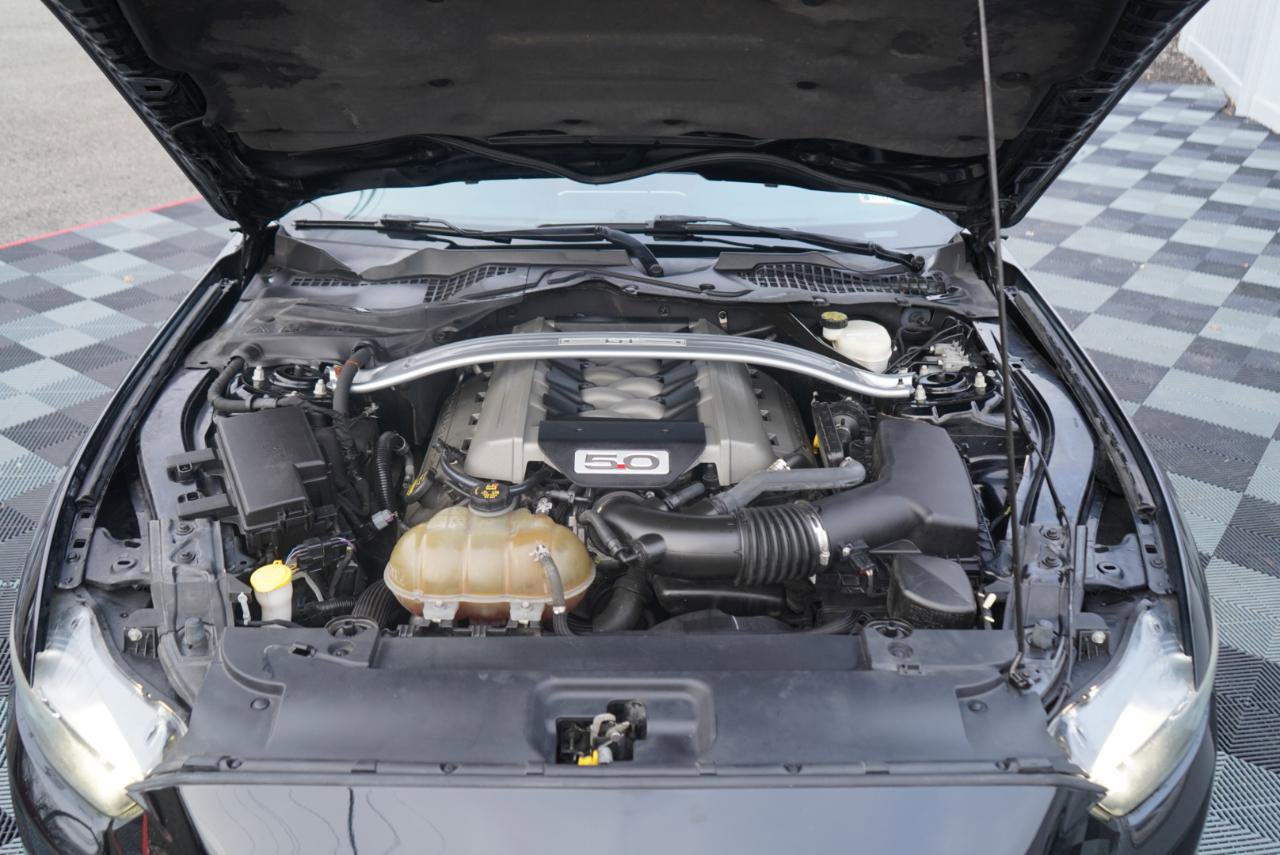 Used 2015 Ford Mustang GT Premium w/ Equipment Group 401A image 65