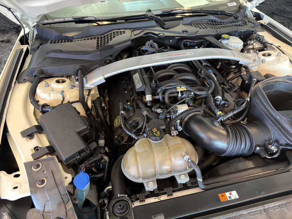 Used 2020 Ford Mustang Shelby GT350R w/ GT350R Equipment Group 920A image 19