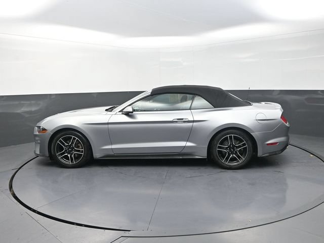 Used 2020 Ford Mustang Premium RWD image 6