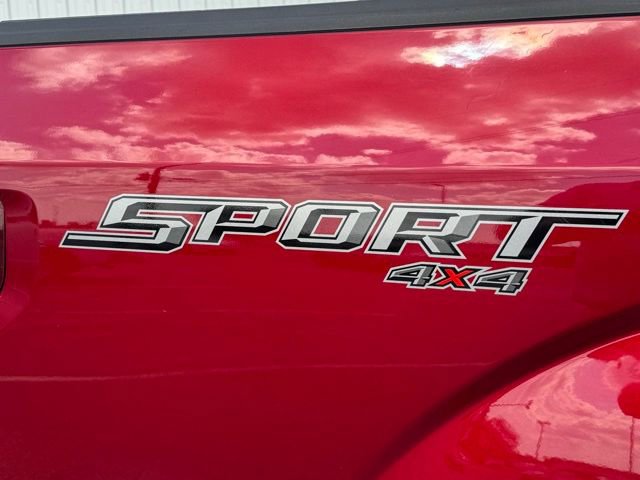 Used 2019 Ford F150 XLT w/ Equipment Group 302A Luxury AWD/4WD image 7