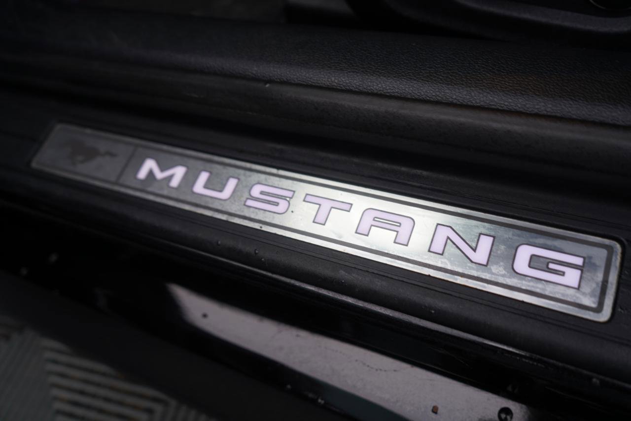 Used 2015 Ford Mustang GT Premium w/ Equipment Group 401A image 19