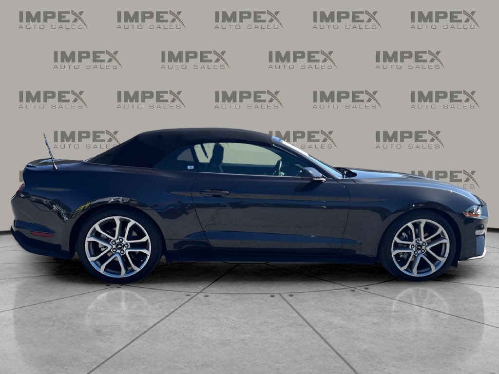 Used 2022 Ford Mustang Premium w/ Equipment Group 201A RWD image 7