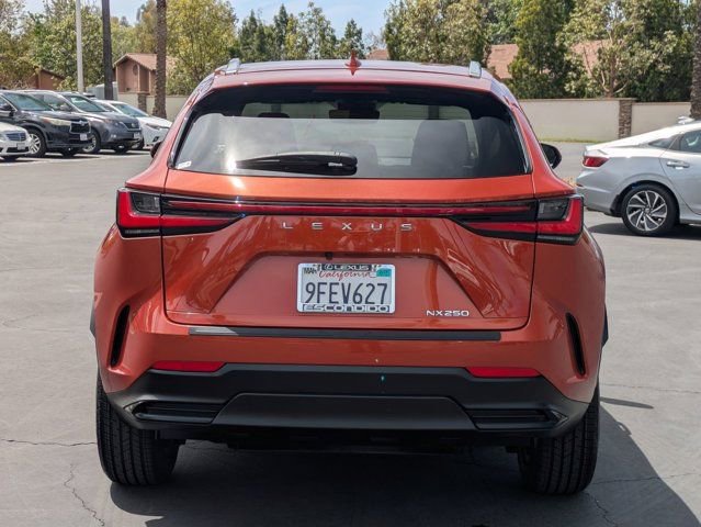 Used 2023 Lexus NX 250 FWD image 6