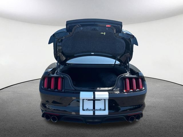 Used 2019 Ford Mustang Shelby GT350 w/ Technology Package RWD image 14
