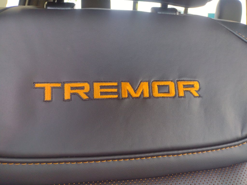 New 2025 Ford F150 Tremor image 18