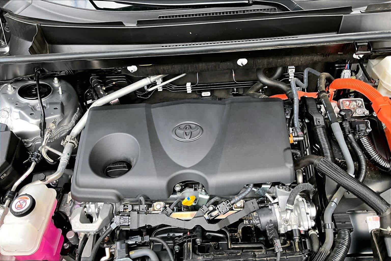 Certified 2025 Toyota RAV4 XLE AWD/4WD image 32