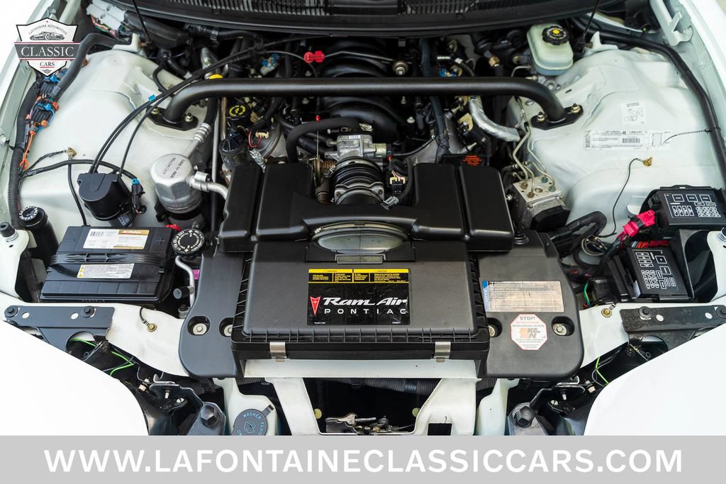 Used 1999 Pontiac Firebird Trans Am RWD image 4