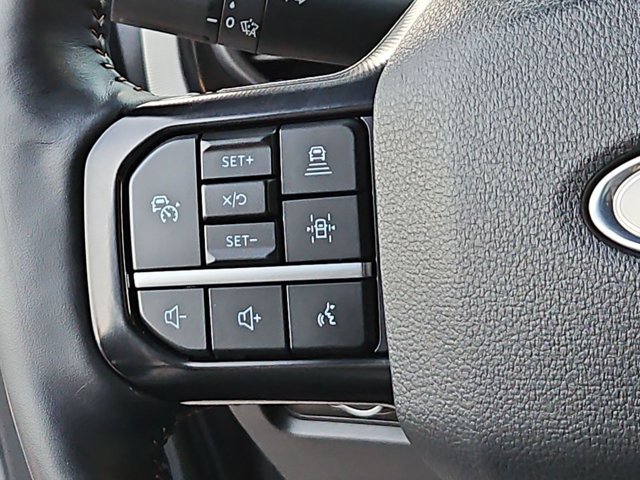 Used 2024 Ford F250 Platinum w/ Tremor Off-Road Package AWD/4WD image 25