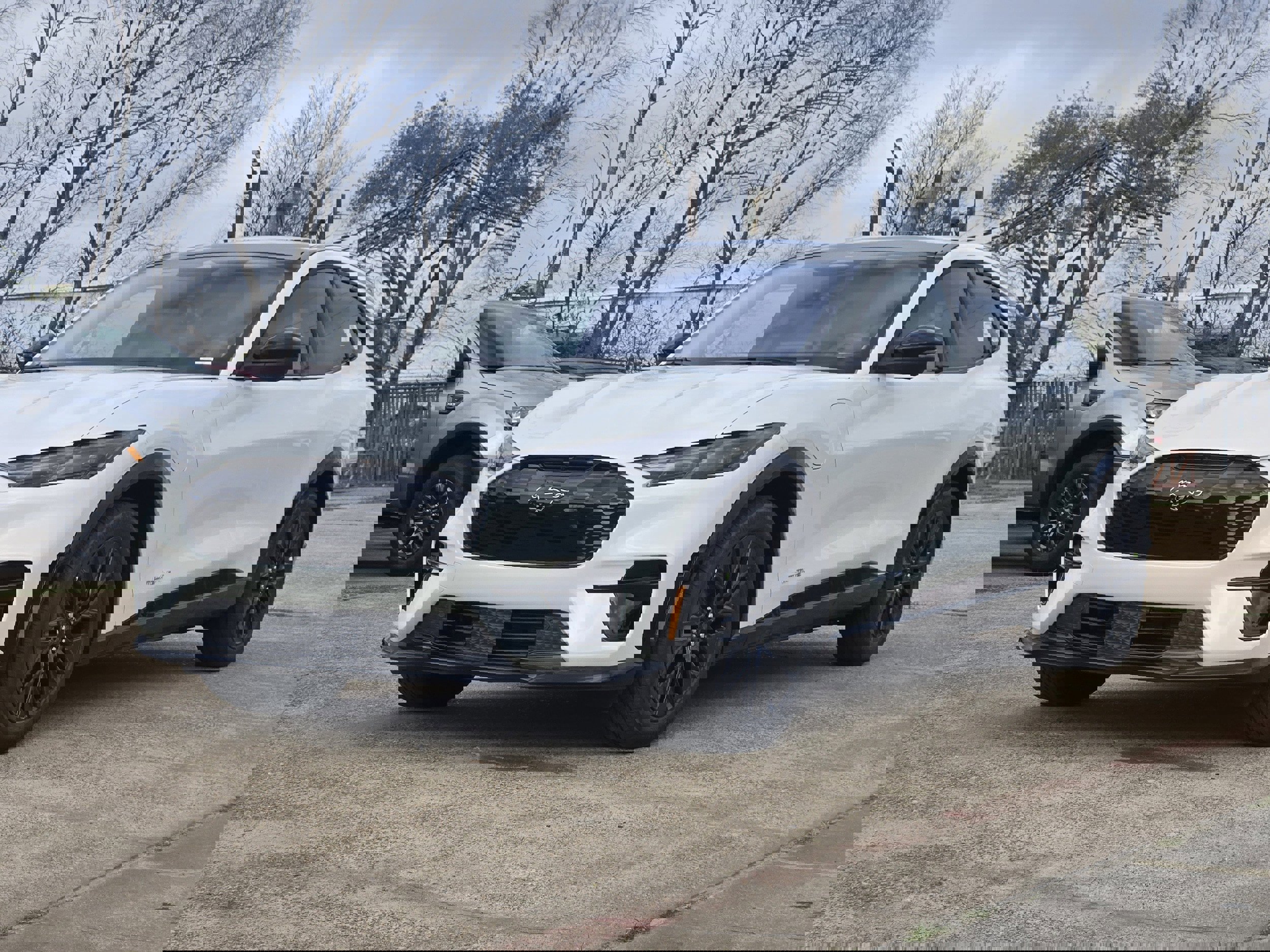 New 2026 Ford Mustang Mach-E Premium w/ Sport Appearance Package RWD image 2