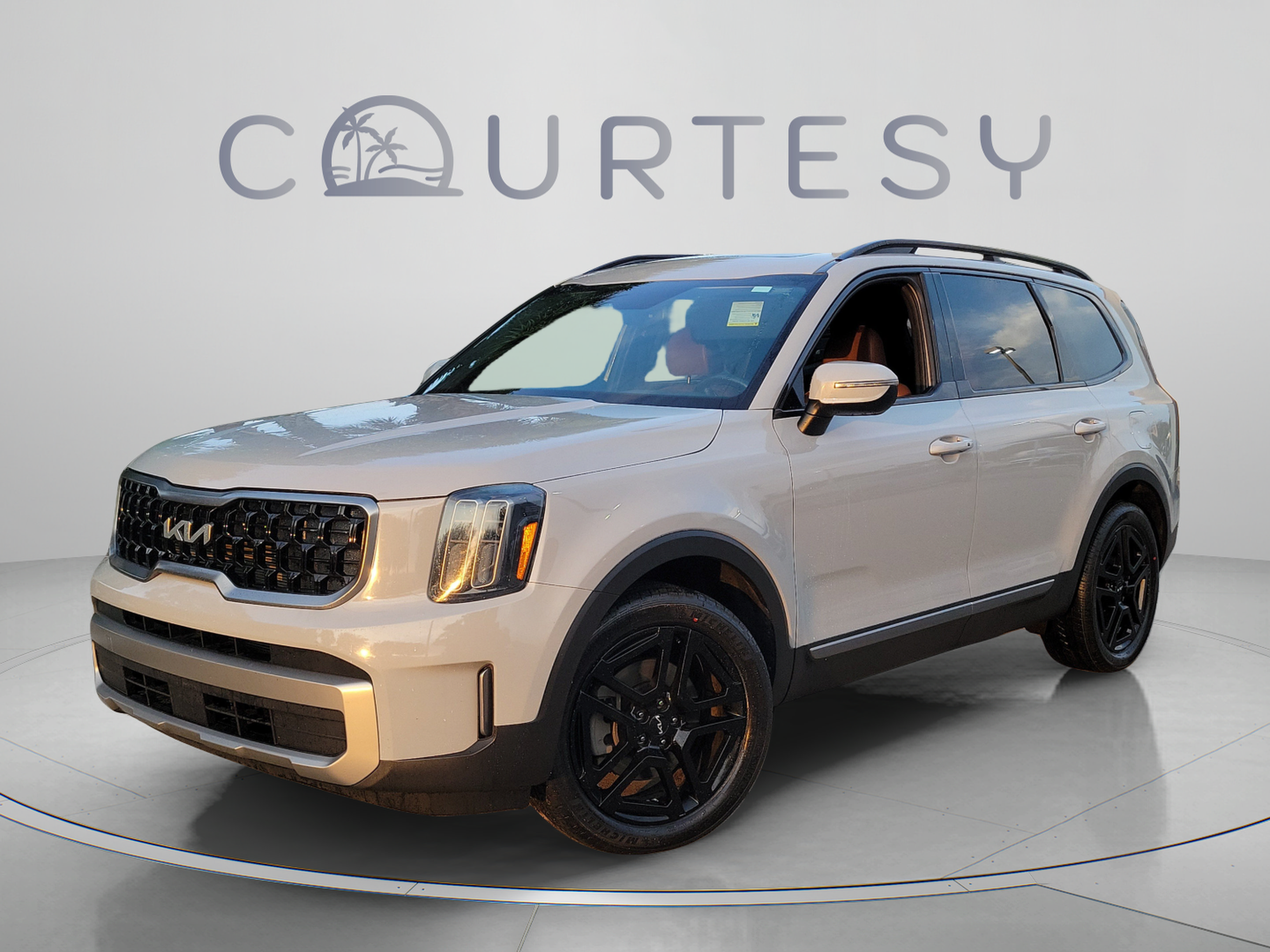 Used 2023 Kia Telluride EX X-Line