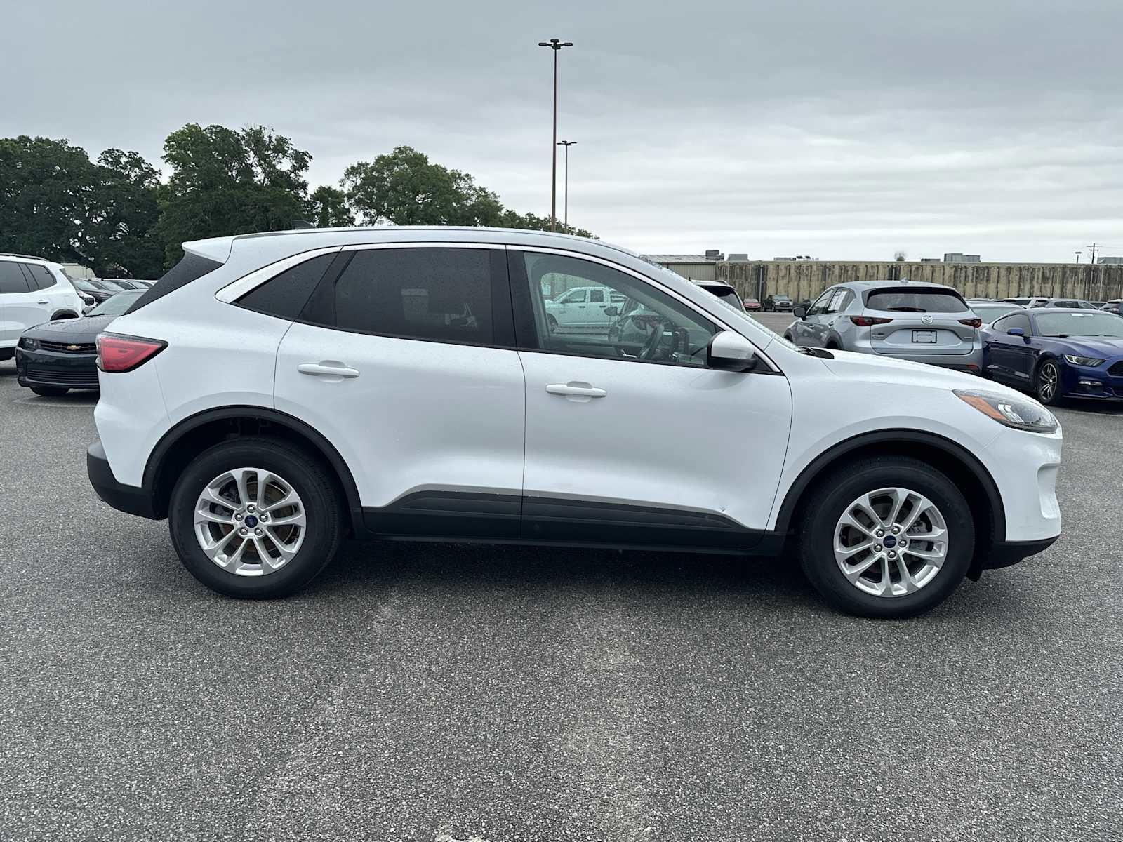 Used 2020 Ford Escape SE AWD/4WD image 9