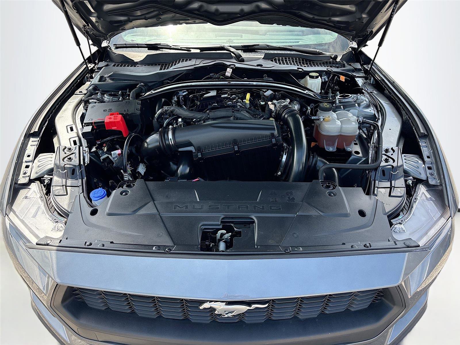 Used 2025 Ford Mustang Premium RWD image 33