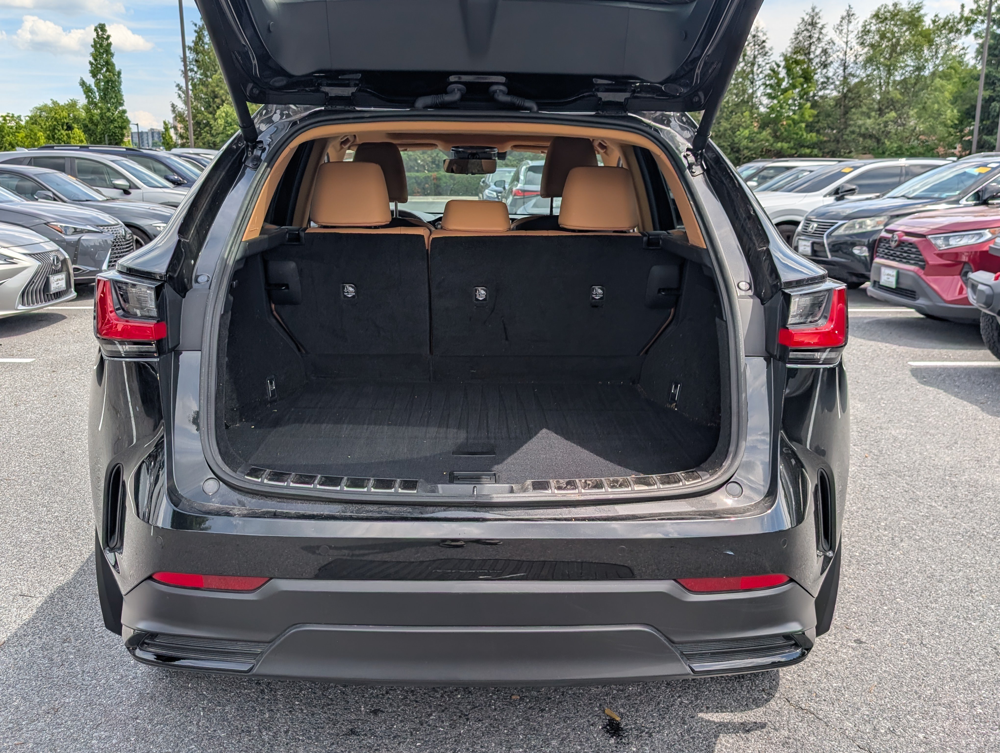 Certified 2024 Lexus NX 350 AWD image 13
