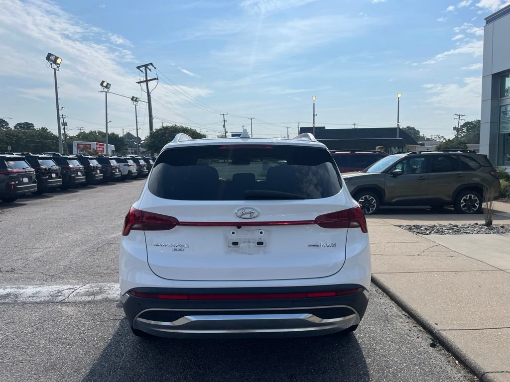 Used 2023 Hyundai Santa Fe Blue AWD/4WD image 5