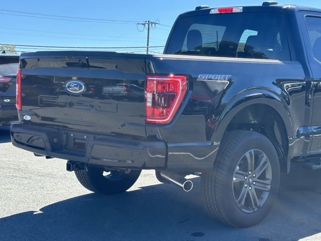 New 2023 Ford F150 XLT w/ Equipment Group 302A High image 37