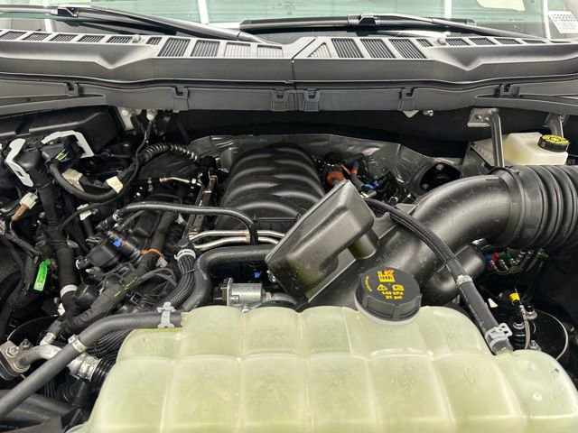 New 2025 Ford F150 XLT w/ Equipment Group 302A MID image 44