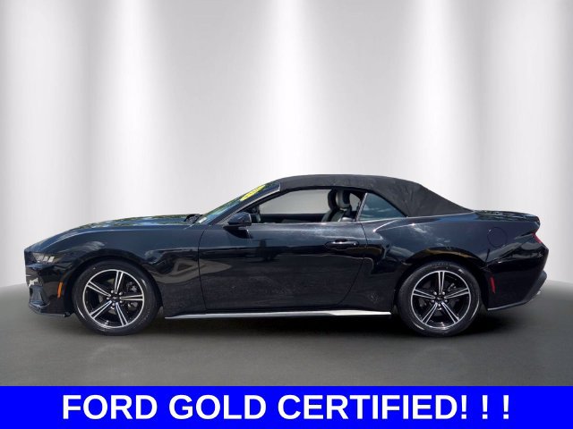 Used 2024 Ford Mustang Premium RWD image 2